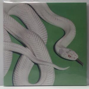 Private Music (USED LP)