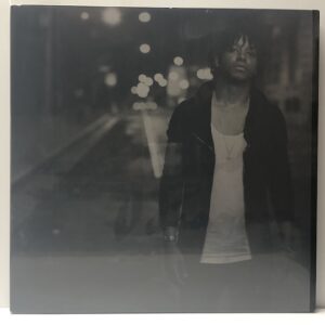 Lupe Fiascos Food and Liquor Series (USED LP)