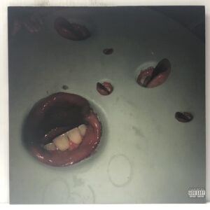 Year of the Snitch (USED LP)