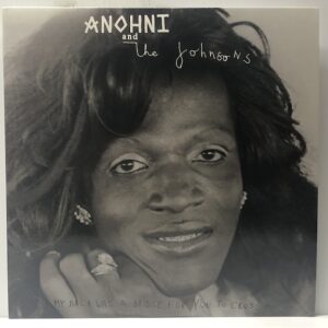 My Back Was a Bridge For You to Cross (USED LP)