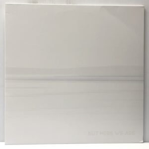 But Here We Are (USED LP)