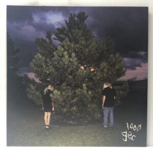 1000 Gecs (USED LP)