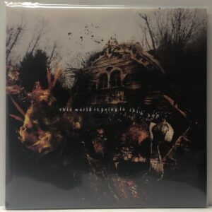This World Is Going to Ruin You (USED LP)
