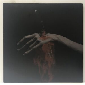 Nothing Left to Love (USED LP)