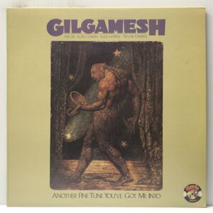 Another Fine Tune Youve Got Me Into (USED LP)