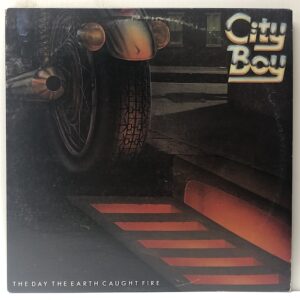 Day the Earth Caught Fire (USED LP)