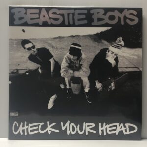 Check Your Head (USED LP)