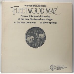 Go Your Own Way / Silver Springs (USED LP)