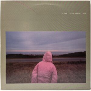 Cycles (USED LP)