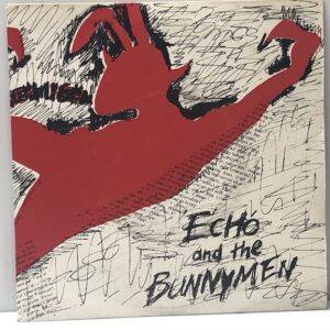 The Pictures On My Wall / Read It In Books USED 7"