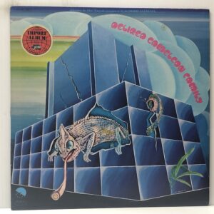 Delired Cameleon Family (USED LP)