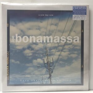 New Day Now 20th Anniversary (USED LP)