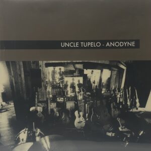 Anodyne (USED LP)