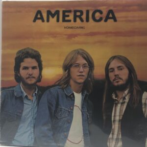 Homecoming (USED LP)
