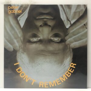 I Dont Remember (USED LP)